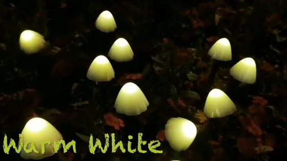 les lumières actionnées solaires de ficelle de 2700K IP55 LED/répandent les lumières solaires de jardin épousant la décoration de fête