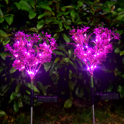 Le jardin solaire du Phalaenopsis LED allume de petits Wildflowers aménagent la lumière en parc de pelouse de jardin