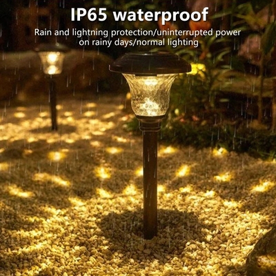 Le jardin solaire du chemin extérieur LED de cour allume décoratif imperméabilisent